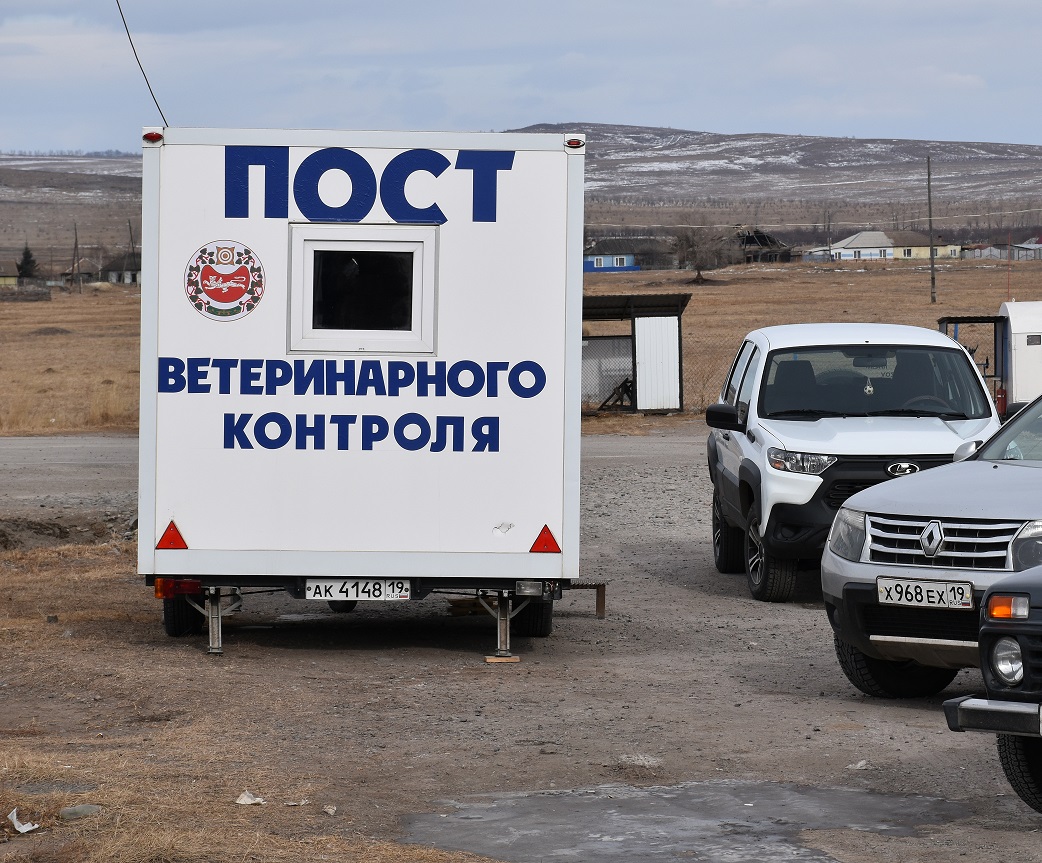 Эпизоотическая ситуация в Хакасии – под контролем 