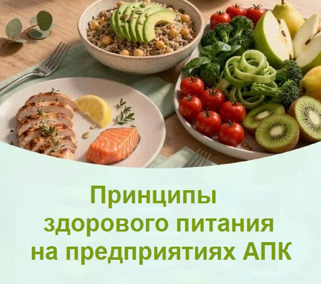 Здоровое питание – путь к высокой производительности